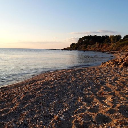 Nestor Sea Studio Превеза Экстерьер фото